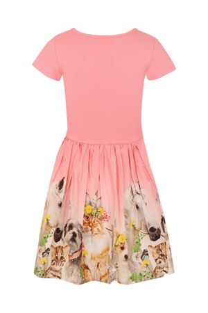pink cotton dress MOLO KIDS | 2S25E1143983